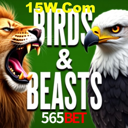Torneios 565bet
